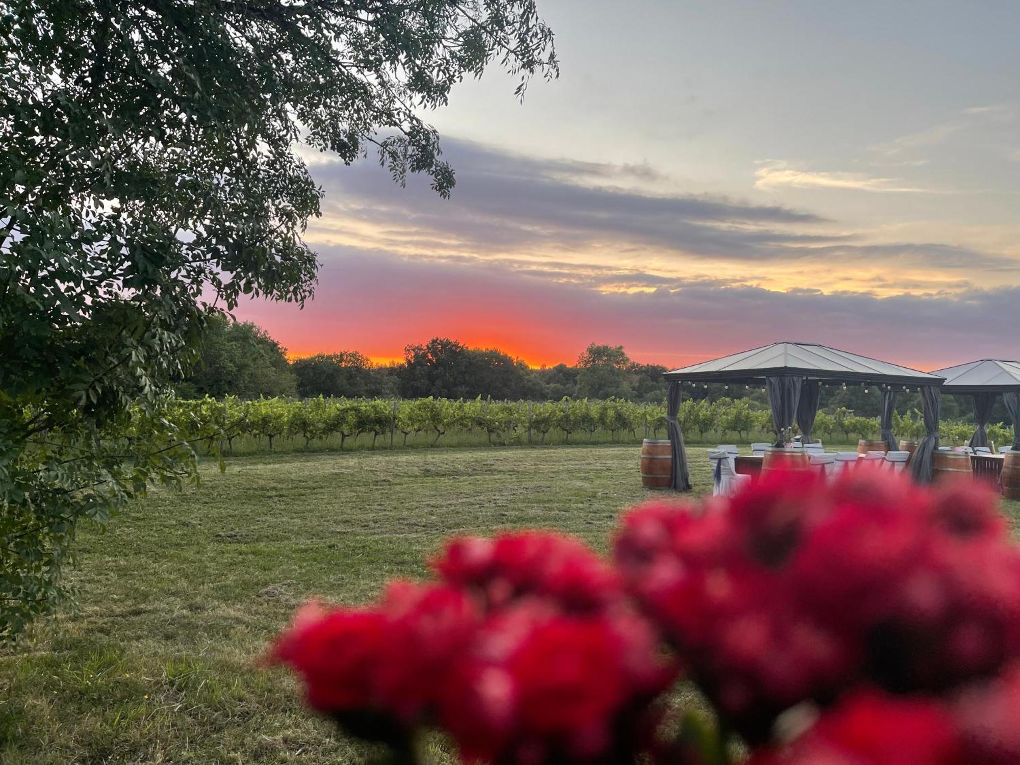 Bordeaux Chateau Lafleur Quinsac  Buitenkant foto