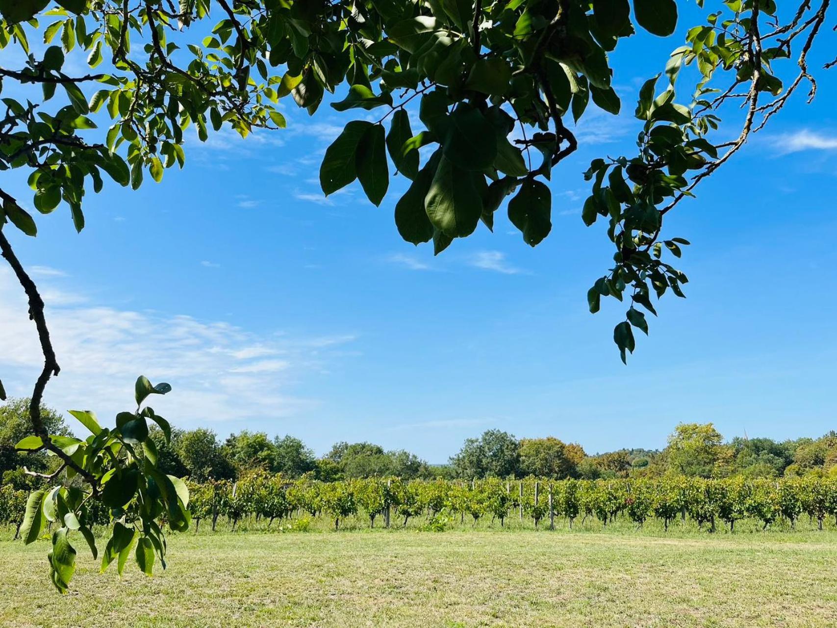 Bordeaux Chateau Lafleur Quinsac  Buitenkant foto
